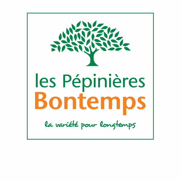 pépiniériste dans la région bordelaise a Mérignac mérignac Pépinière Bontemps